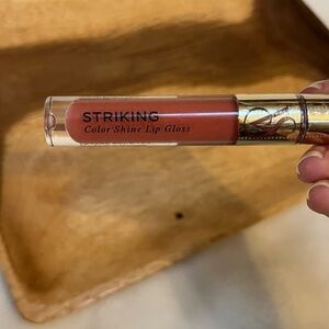 Victoria’s Secret Color Shine Lip Gloss in Striking